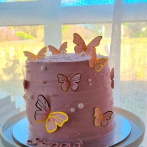 Chocolate & Raspberry Mousse Cake